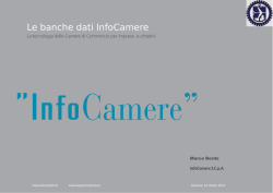 i servizi informativi camerali (Bordo) - 14.3.2014