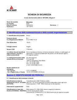 SCHEDA DI SICUREZZA - ICL-IP