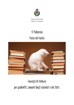 Festa del Gatto - Co