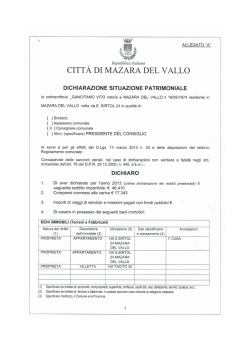 Dichiarazione situazione patrimoniale Allegato A-B-C