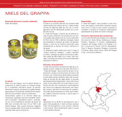 MIELE DEL GRAPPA - Veneto Agricoltura
