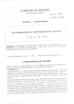 determina n. 174/2014 affidamento servizio per interventi nei