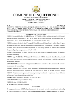 Determina n. 19 IMPEGNO DI SPESA E LIQUIDAZIONE DICEMBRE