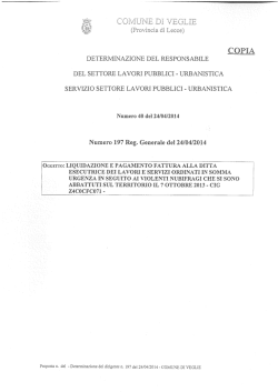 Det. R.G. 197-2014 liquidazione fattura