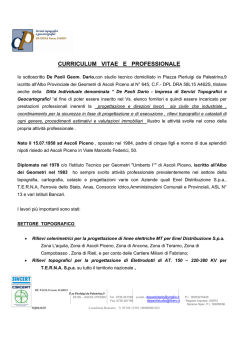 CURRICULUM VITAE E PROFESSIONALE