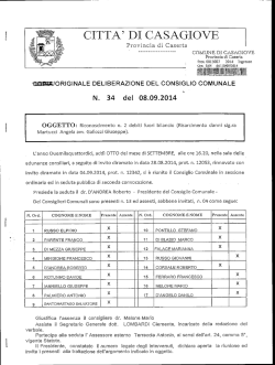 Deliberazione di Consiglio Comunale n. 34 Prot 13087_2014