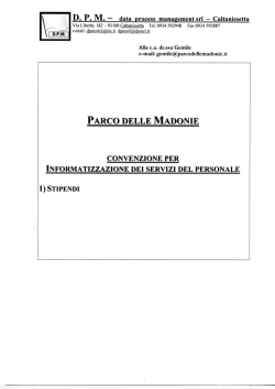 D. P. M. - data process management srl