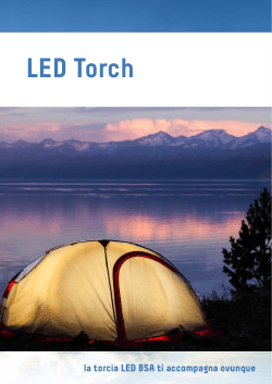 Catalogo LED Torch - Technology Bsa LED