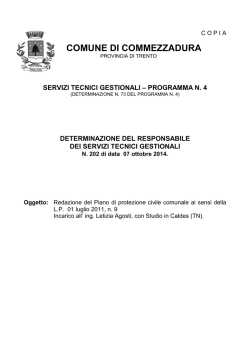 File "Det. n. 202 dd. 07.10.2014