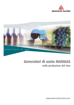 Generatori di azoto MAXIGAS nella produzione del vino