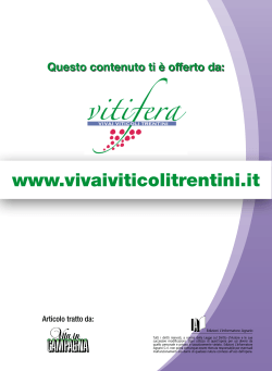 www.vivaiviticolitrentini.it