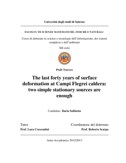The last forty years of surface deformation at Campi