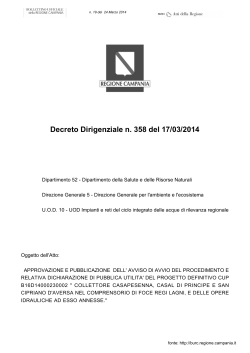 Decreto Dirigenziale n. 358 del 17/03/2014