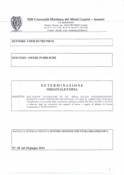 det. n. 28 del 18 6 2014