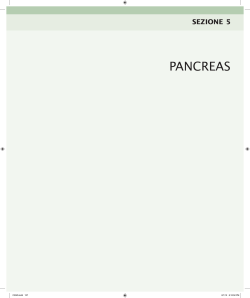 PANCREAS - Doctor 33