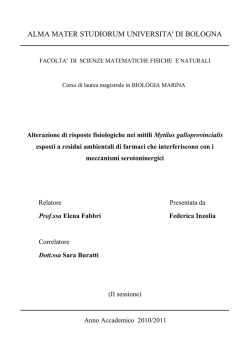 Documento PDF - AMS Tesi di Laurea