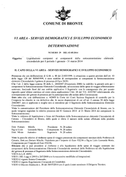 Determina N. 29 del 03-05-2014 VI Area