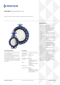 Keystone Butterfly Valves, Model OptiSeal F14-F17