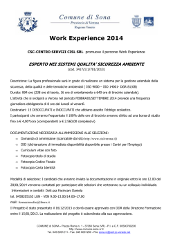 Work Experience Verona 2014