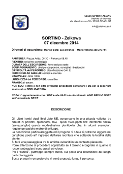 SORTINO - Zelkowa 07 dicembre 2014