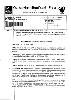 i~IWl~~!~~111111111 - Consorzio di Bonifica 6 Enna
