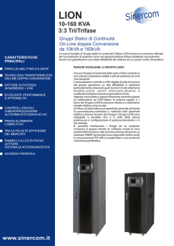 LION 10-160 KVA 3:3 Tri/Trifase