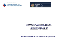 organigramma - Azienda Ospedaliera S.Camillo