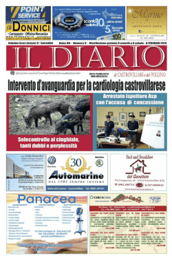 IL DIARIO di CASTROVILLARI e del POLLINO