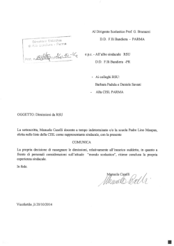 dimissioni da RSU