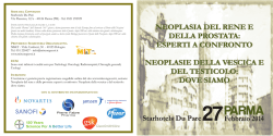Il programma