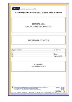 disciplinare tecnico D gestione SIA