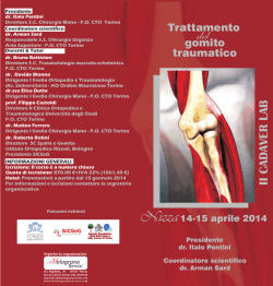 II C AD AVER LAB Nizza14
