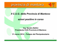 Il Cug della Provincia di Mantova