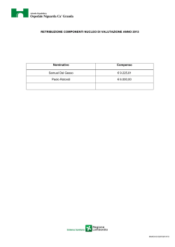 Compensi componenti nucleo di valutazione 2013