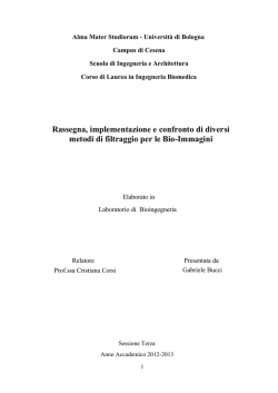 Documento PDF - AMS Tesi di Laurea