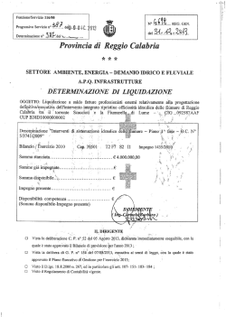 io Cal - Provincia di Reggio Calabria