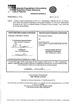 Delibera 1053-2013 incarico Marinelli - ricorso Rini