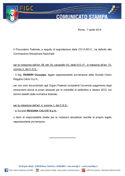 il provvedimento Covisoc su Pelusi