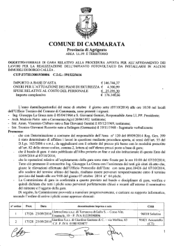 Verbale di gara impianto fotovoltaico Borgo Callea