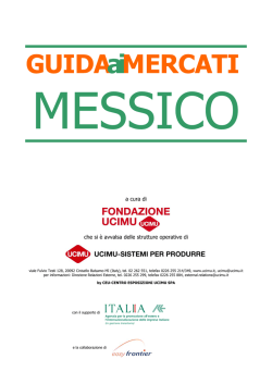 Guida ai mercati del Messico
