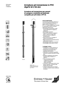 Hauser Endress