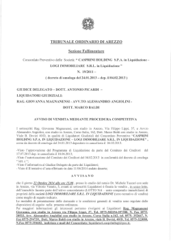 TRIBUNALE ORDINARIO DI AREZZO Sezione Fallimentare