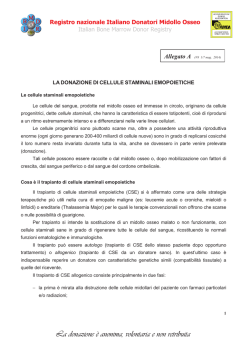Donazione di midollo osseo