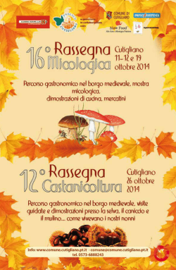 Scarica il file allegato