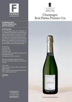 Champagne Brut Platine Premier Cru