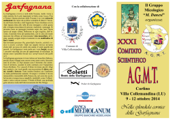 Brochure CSR AGMT 2014(italiano)