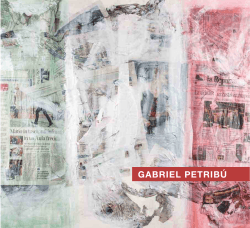 Untitled - Gabriel Petribú