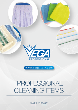 PROFESSIONAL CLEANING ITEMS