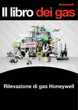 Rivelatori di gas portatili (continua)