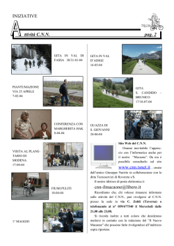 INIZIATIVE ttivit&agrave; C.N.N. pag. 2 www.cnn.tsnet.it , creato cnn